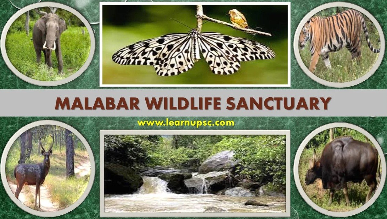 Malabar Wildlife Sanctuary